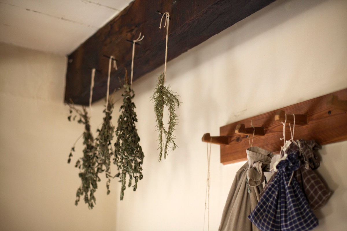 Dried flowers and herbs